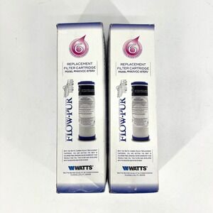 Watts Flow-Pur MAXVOC-975RV Carbon Block Water Filter Cartridge 2 Pack RV Marine